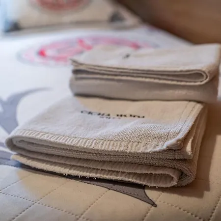 民宿 威拉西茶沃达中心酒店 *